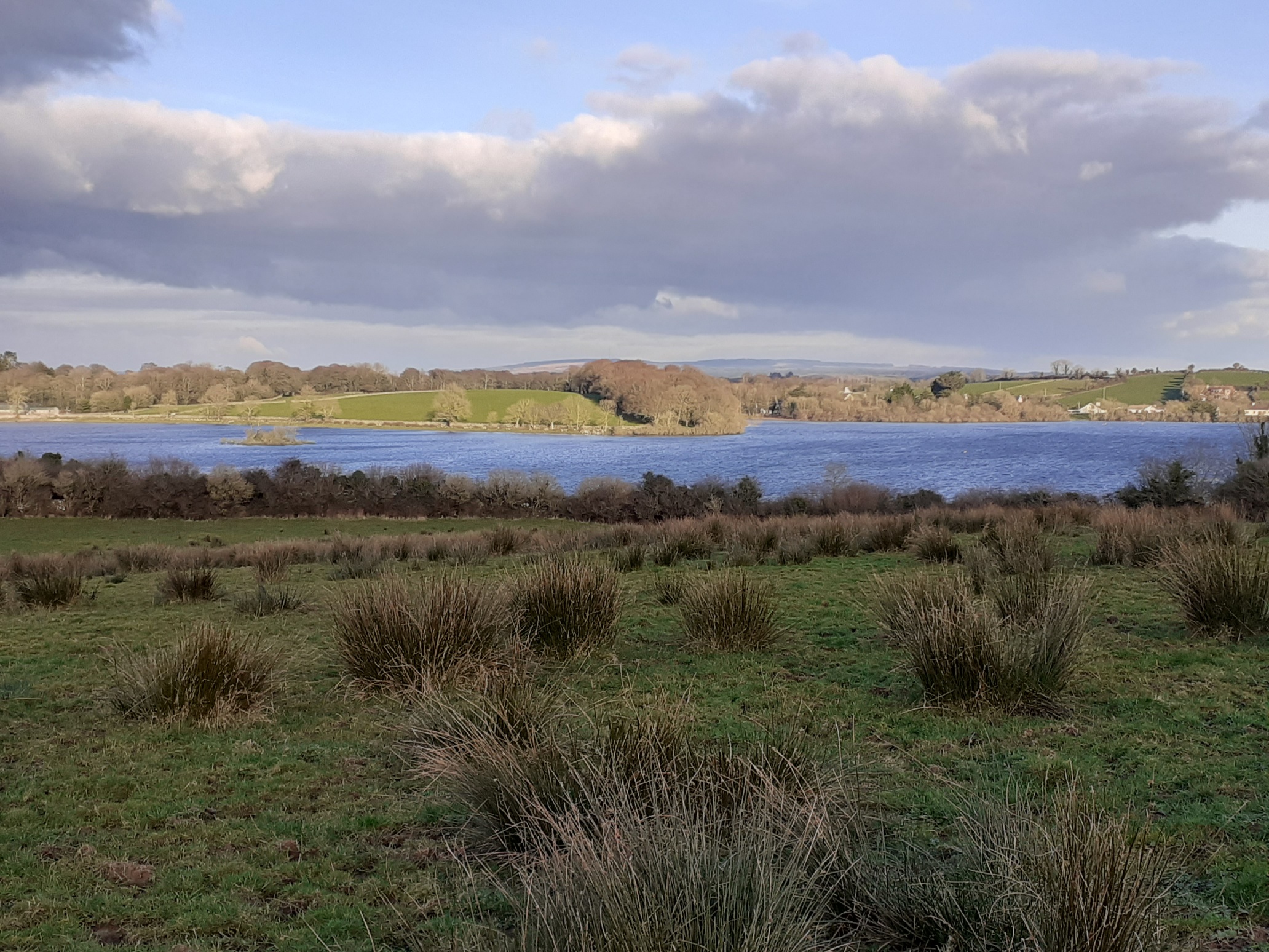 Ballyallia Lake in winter